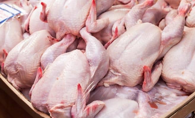 تونس سجلت تراجعا لإنتاج دجاج اللحم بنسبة 2,9 بالمائة خلال فيفري 2023